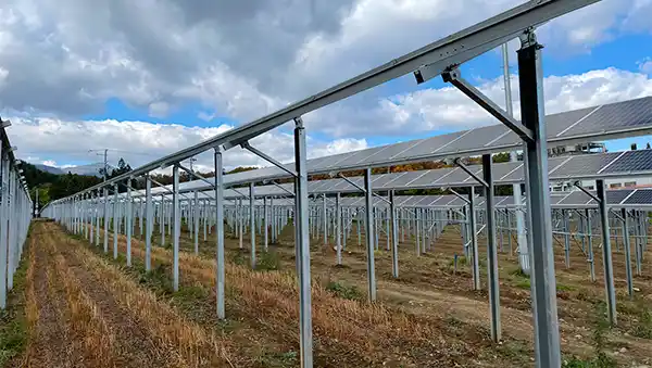 Projektbeispiele für Photovoltaik-Anlagen auf landwirtschaftlichen Flächen