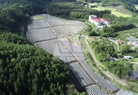 Mibet erlebte mit, wie Fukushima, Japan, wieder zum Leben erwacht